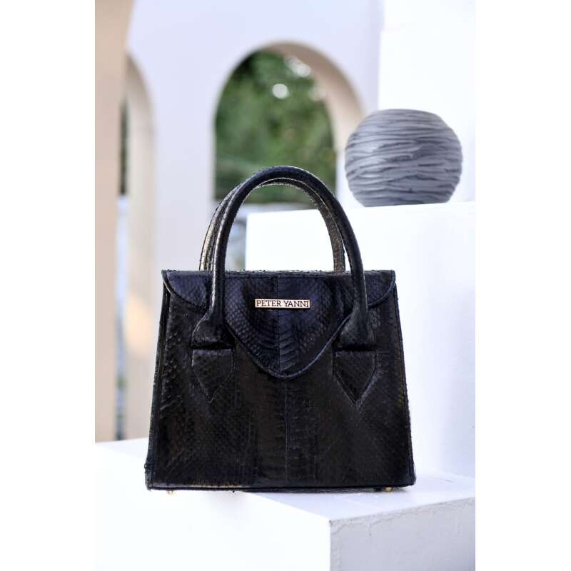 Black Snakeskin Trapeze  Bag